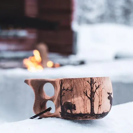 Apartman Postintie 3a 6101 By In Lapland Levi
